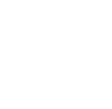 Ricardo Nazario Github